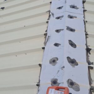 Peinture toiture 974 - (10)