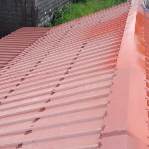 Peinture toiture 974 - (11)