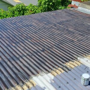 Peinture toiture 974 - (16)