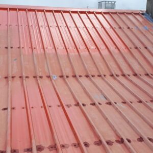 Peinture toiture 974 - (17)