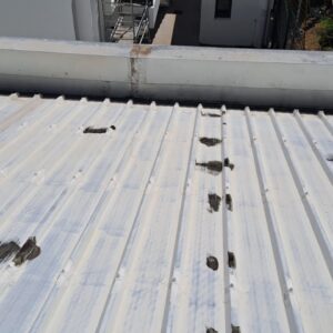 Peinture toiture 974 - (22)