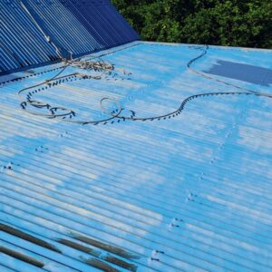 Peinture toiture 974 - (32)