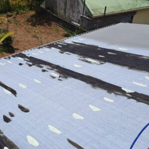 Peinture toiture 974 - (35)