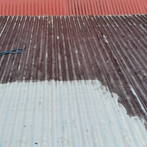 Peinture toiture 974 - (36)