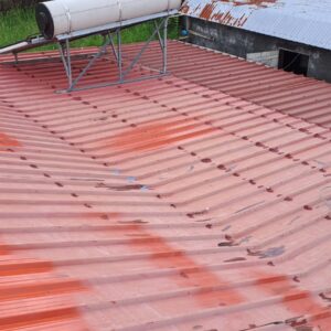 Peinture toiture 974 - (38)