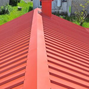 Peinture toiture 974 - (44)