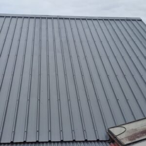 Peinture toiture 974 - (48)