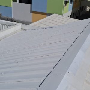 Peinture toiture 974 - (55)