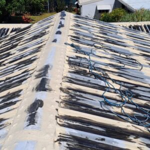 Peinture toiture 974 - (7)