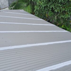 Peinture toiture 974 - (8)